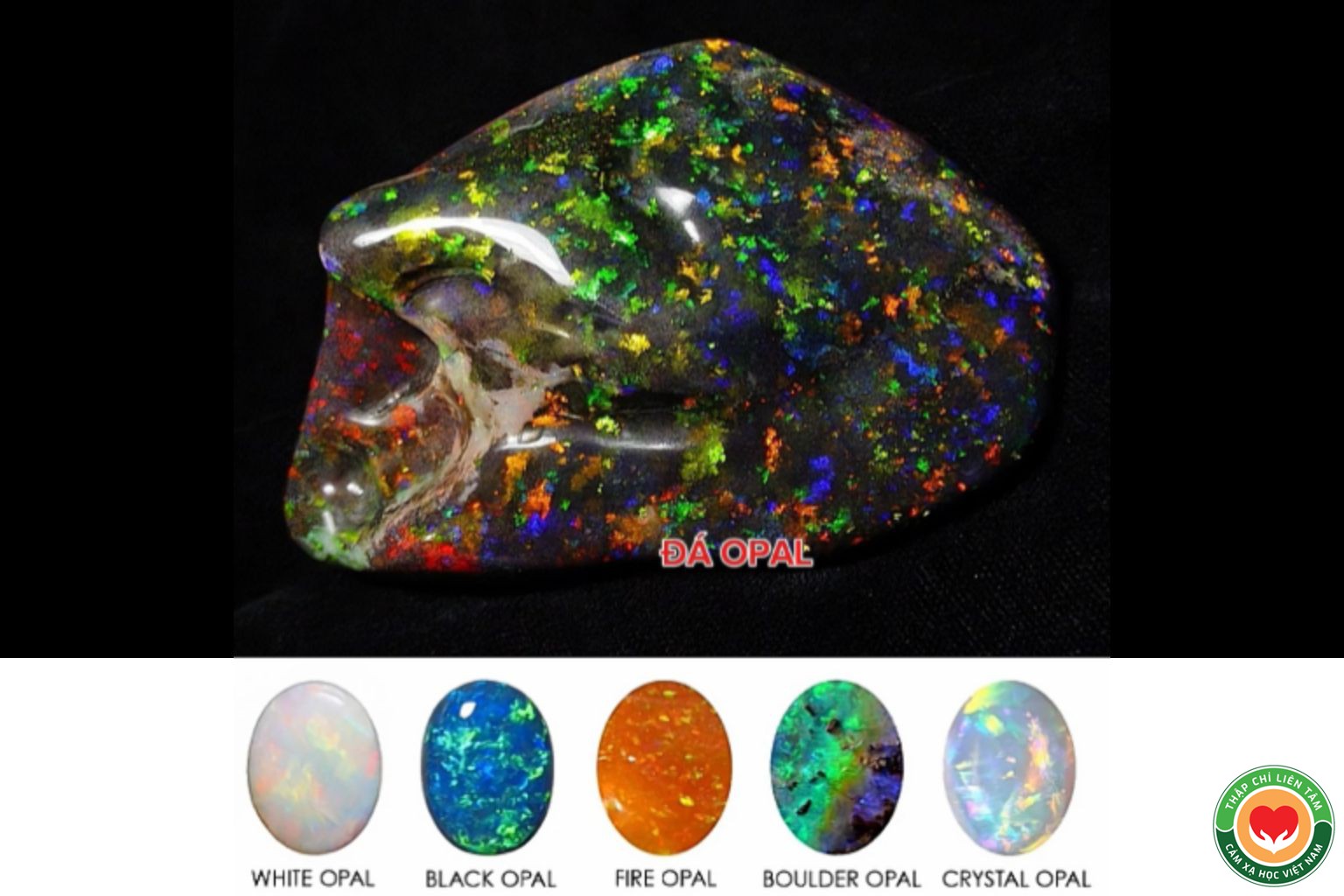 Đá Opal: Ý Nghĩa, Tác Dụng và Ứng Dụng Trong Thạch Trị Liệu (bài 82)