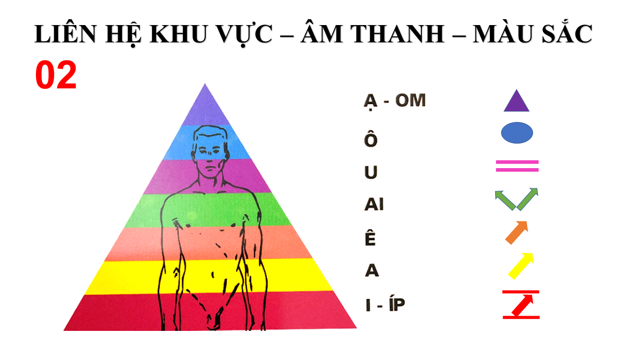 Phân Cực Trong Cảm Xạ Y Học: Nguyên Lý Và Ứng Dụng Thực Tiễn (bài 3)