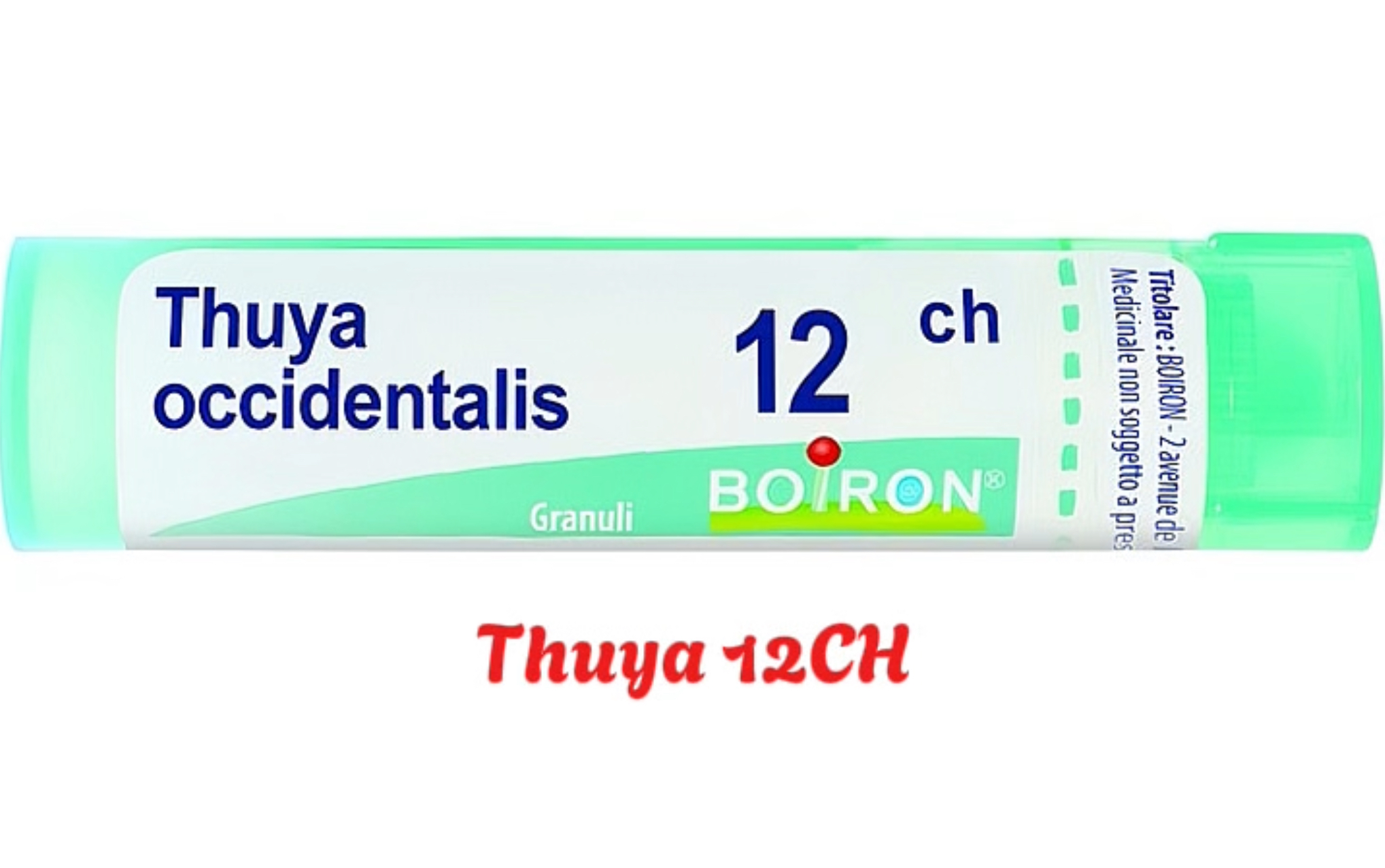 Cảm Xạ Y Học Và Vi Lượng Đồng Căn: Sự Kết Hợp Chữa Lành Toàn Diện (bài 5)