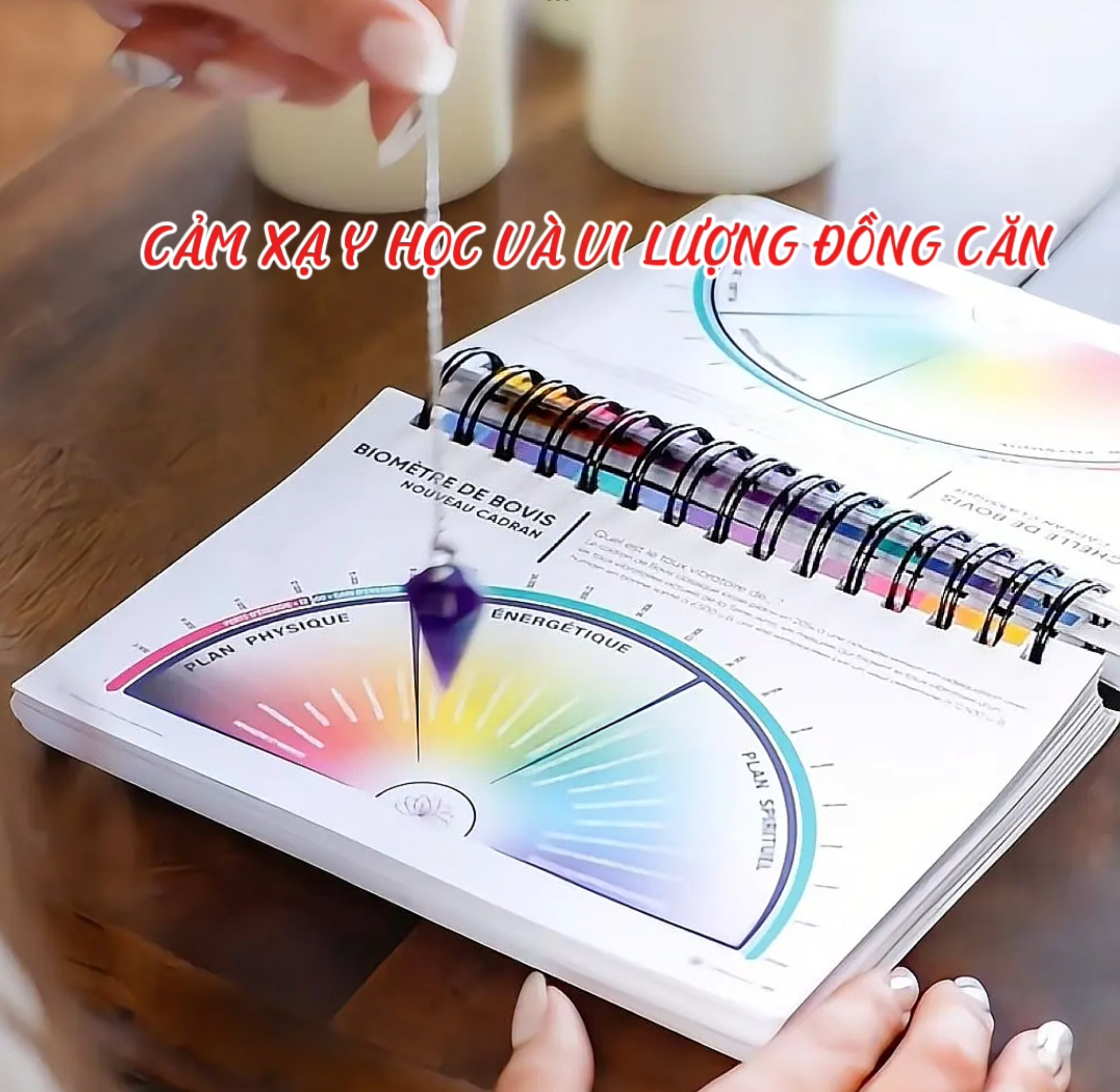 Cảm Xạ Y Học và Vi Lượng Đồng Căn: Nguyên Lý Khoa Học và Ứng Dụng  (bài 6)