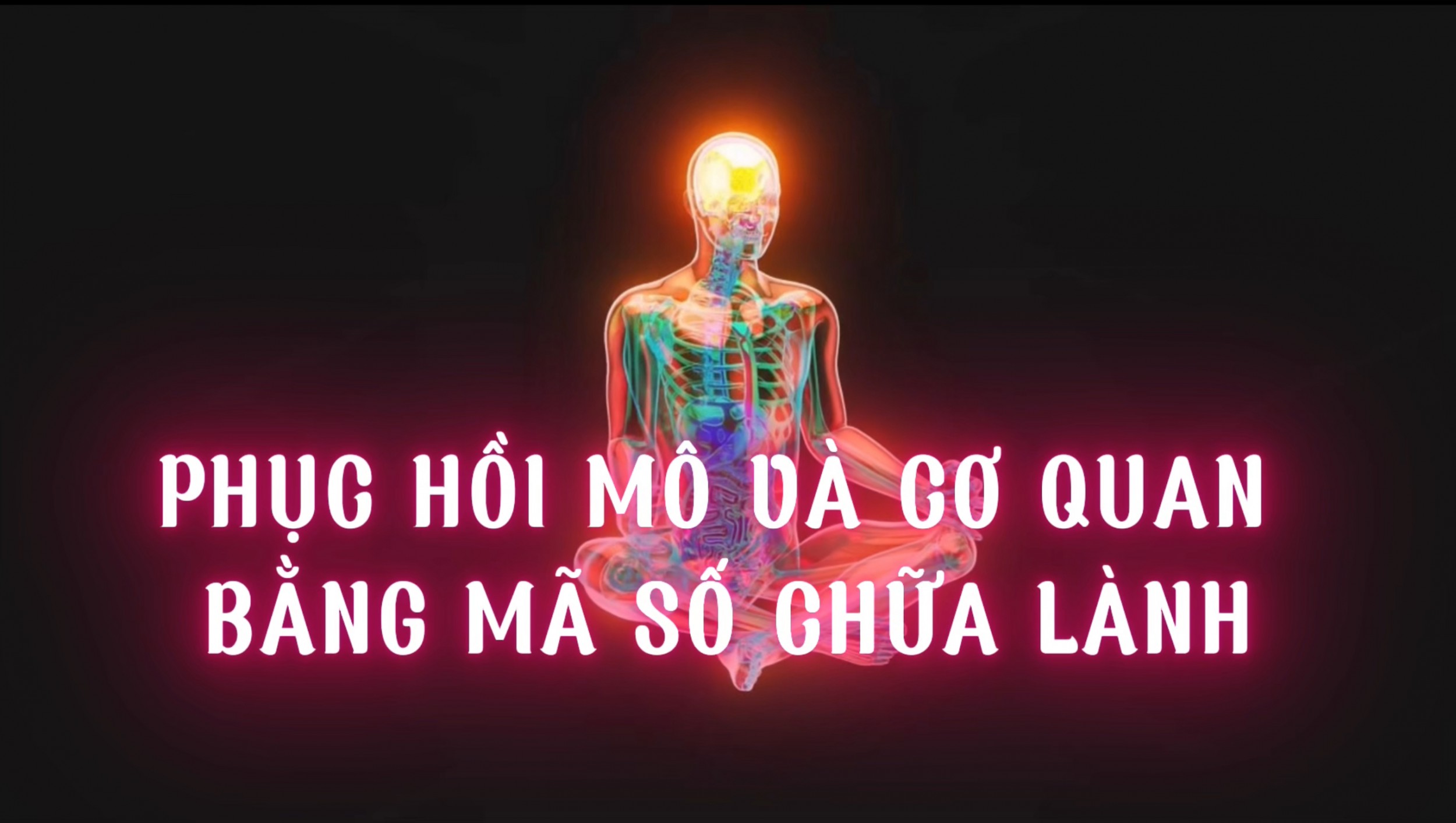 Phục Hồi Mô Và Cơ Quan Bằng Mã Số Chữa Lành (bài 14)