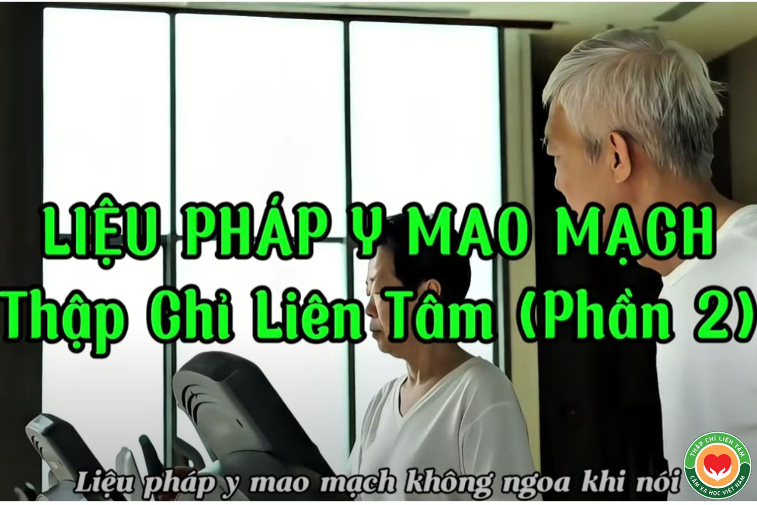 Liệu Pháp Y Mao Mạch: Bệnh Do "Ăn Ở" Mà Ra - Hiểu Đúng Để Sống Khỏe (bài 22)