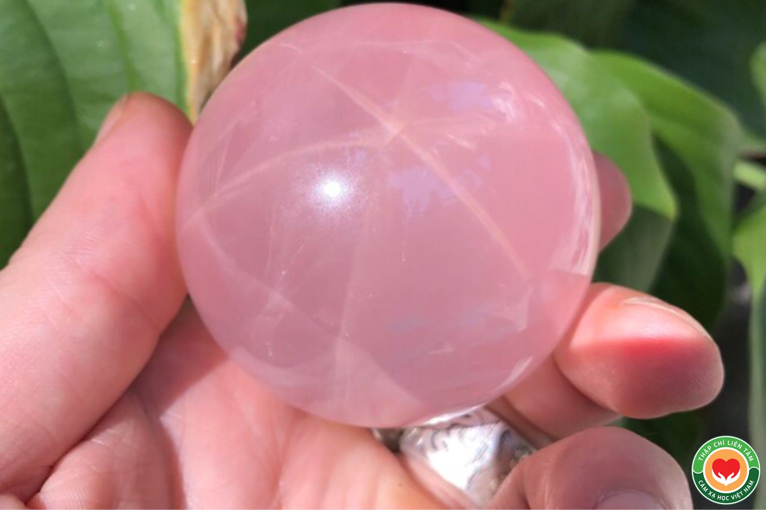 Tinh Thể Thạch Anh và Năng Lượng Từ Sóng Hình Dạng (bài 12)