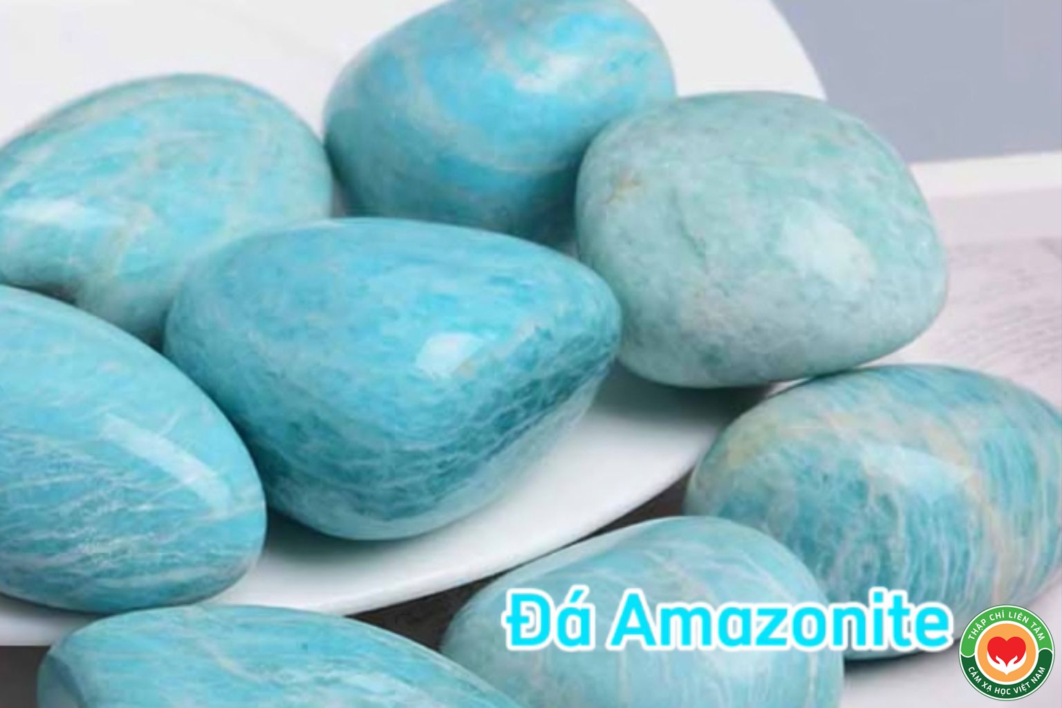 Ngọc Lục Bảo Amazon (Đá Amazonite): Ý Nghĩa và Tác Dụng Chữa Lành (bài 36)