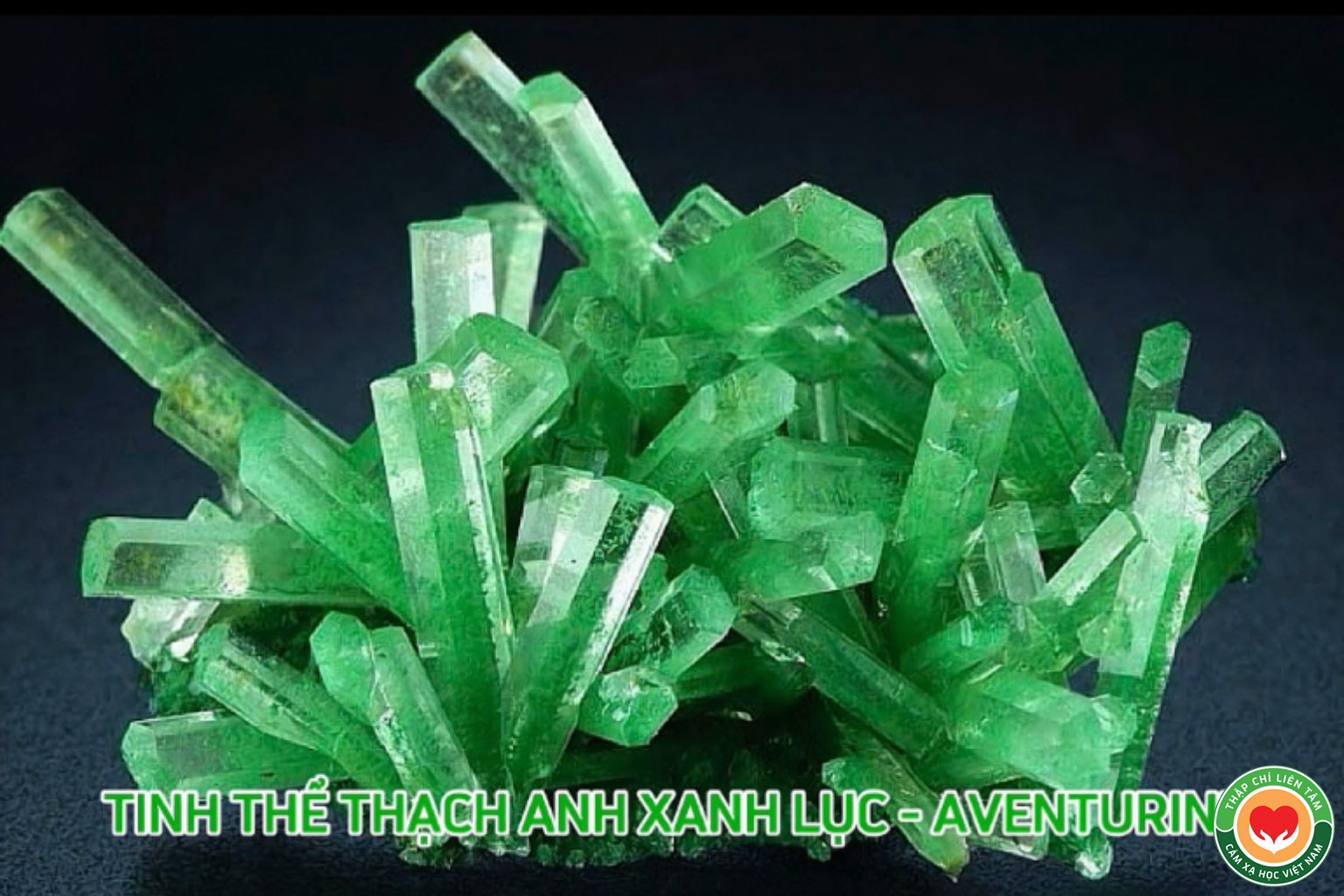 Thạch Anh Xanh Lục (Aventurine): Ý Nghĩa, Tác Dụng và Ứng Dụng (bài 40)