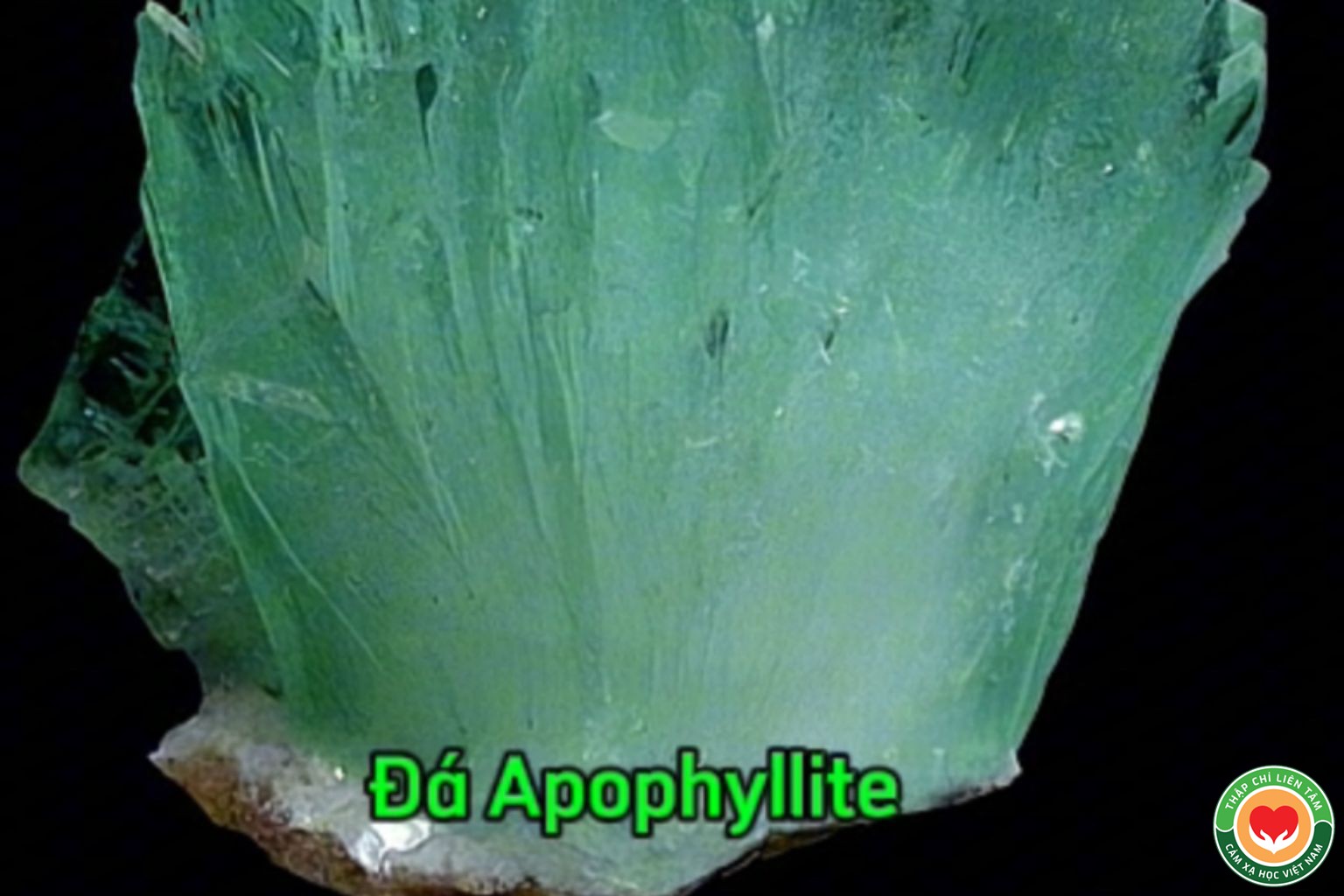 Tinh Thể Apophyllite: Ý Nghĩa, Tác Dụng Chữa Lành và Tâm Linh (bài 39)