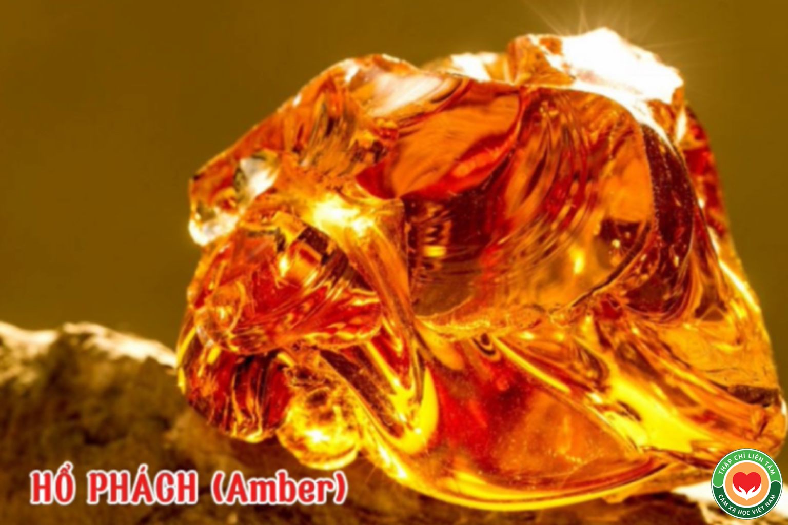 Ý Nghĩa Màu Cam: Năng Lượng từ Thạch Anh Cam và Đá Quý (bài 15)