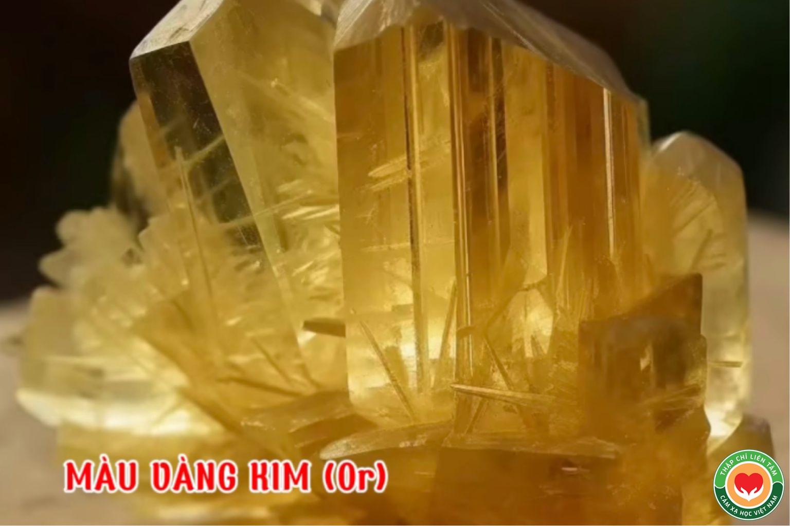 Ý Nghĩa Màu Vàng Kim với Tinh Thể Thạch Anh và Đá Quý (bài 16)