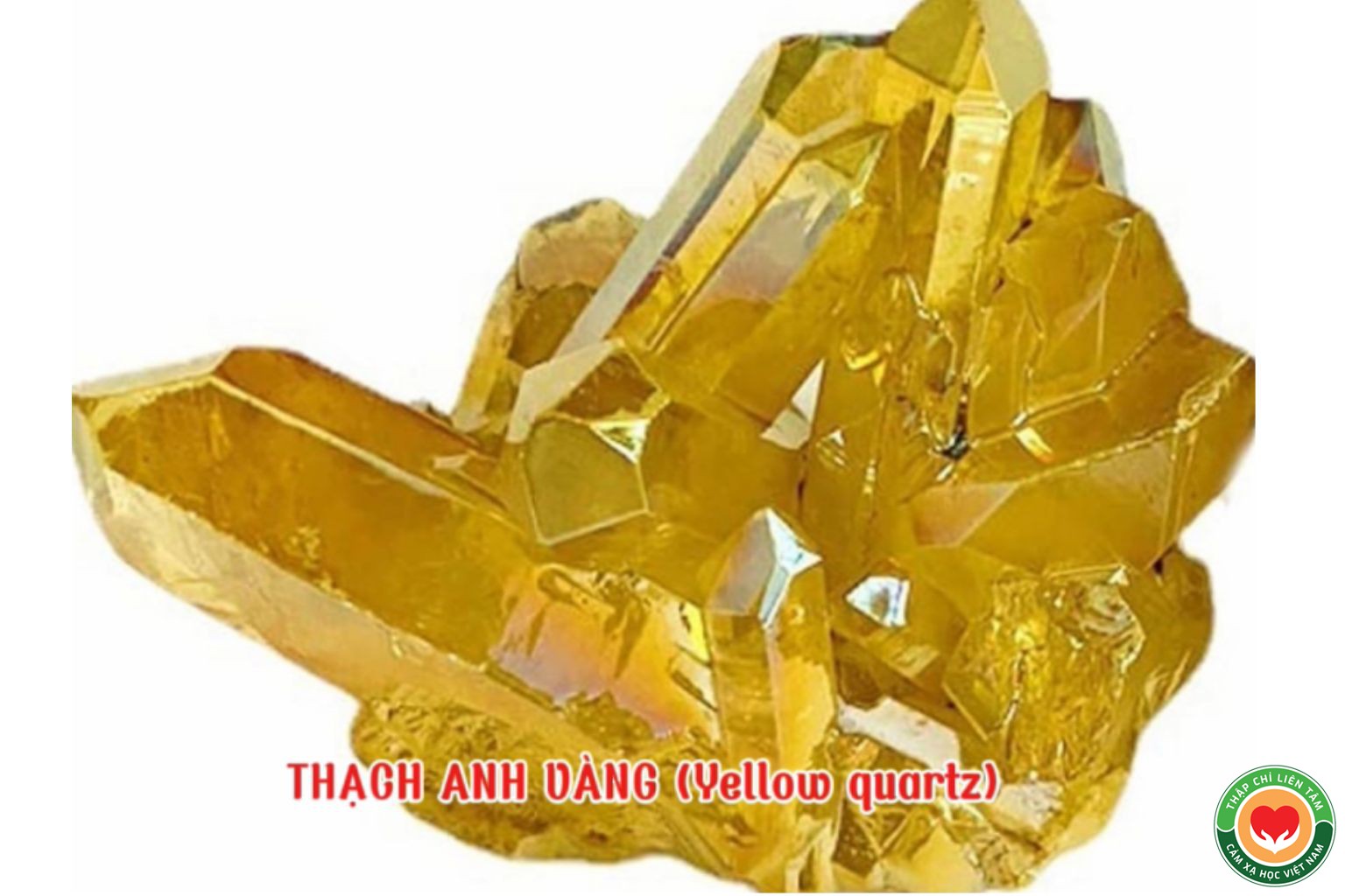 Ý Nghĩa Màu Vàng với Tinh Thể Thạch Anh Vàng và Đá Quý (bài 17)