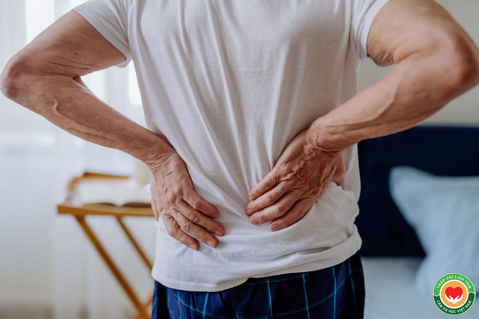 Tại Sao Bị Đau Lưng? Nguyên Nhân và Các Bệnh Lý Cột Sống Thường Gặp (bài 13)