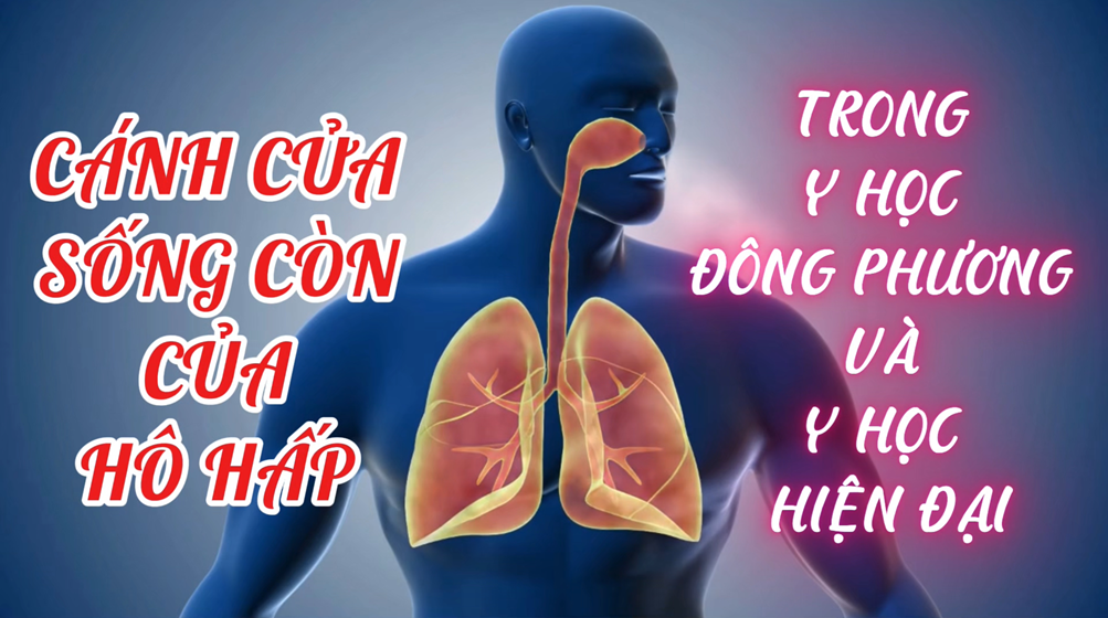 Cánh Cửa Sống Còn Của Hô Hấp Trong Y Học Đông Phương Và Y Học Hiện Đại (Bài 03 - 2)