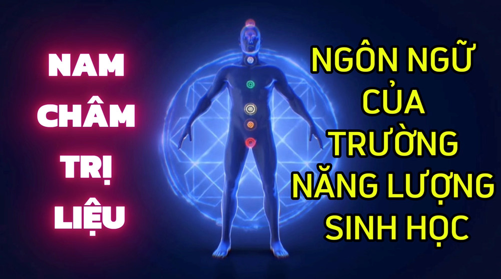 Nam Châm Trị Liệu – Ngôn Ngữ Của Trường Năng Lượng Sinh Học