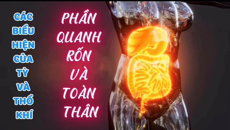 Các Biểu Hiện Của Tỳ  Và Thổ Khí (Bài 02 - Phần 1)
