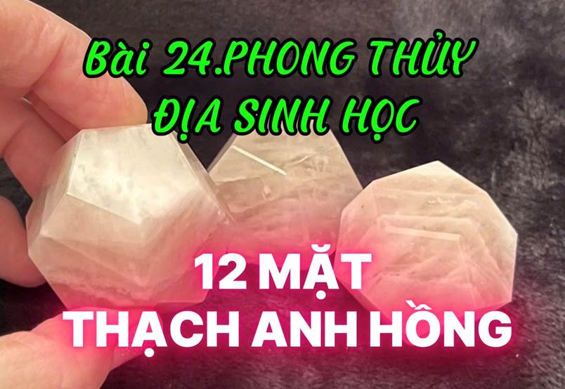 CHUYÊN ĐỀ PHONG THỦY ĐỊA SINH HỌC (Bài 24)