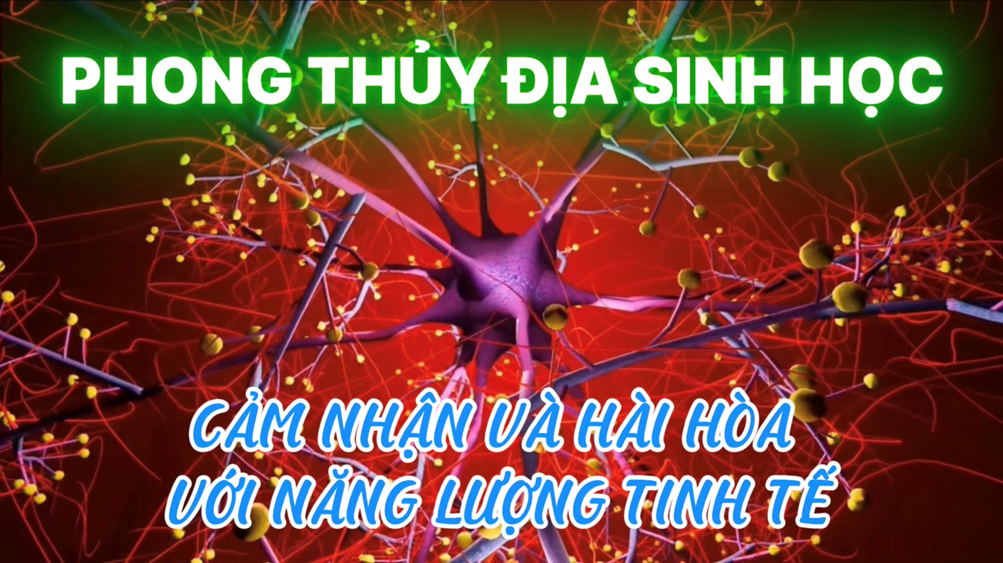 CHUYÊN ĐỀ PHONG THỦY ĐỊA SINH HỌC (Bài 23 - Phần 2)