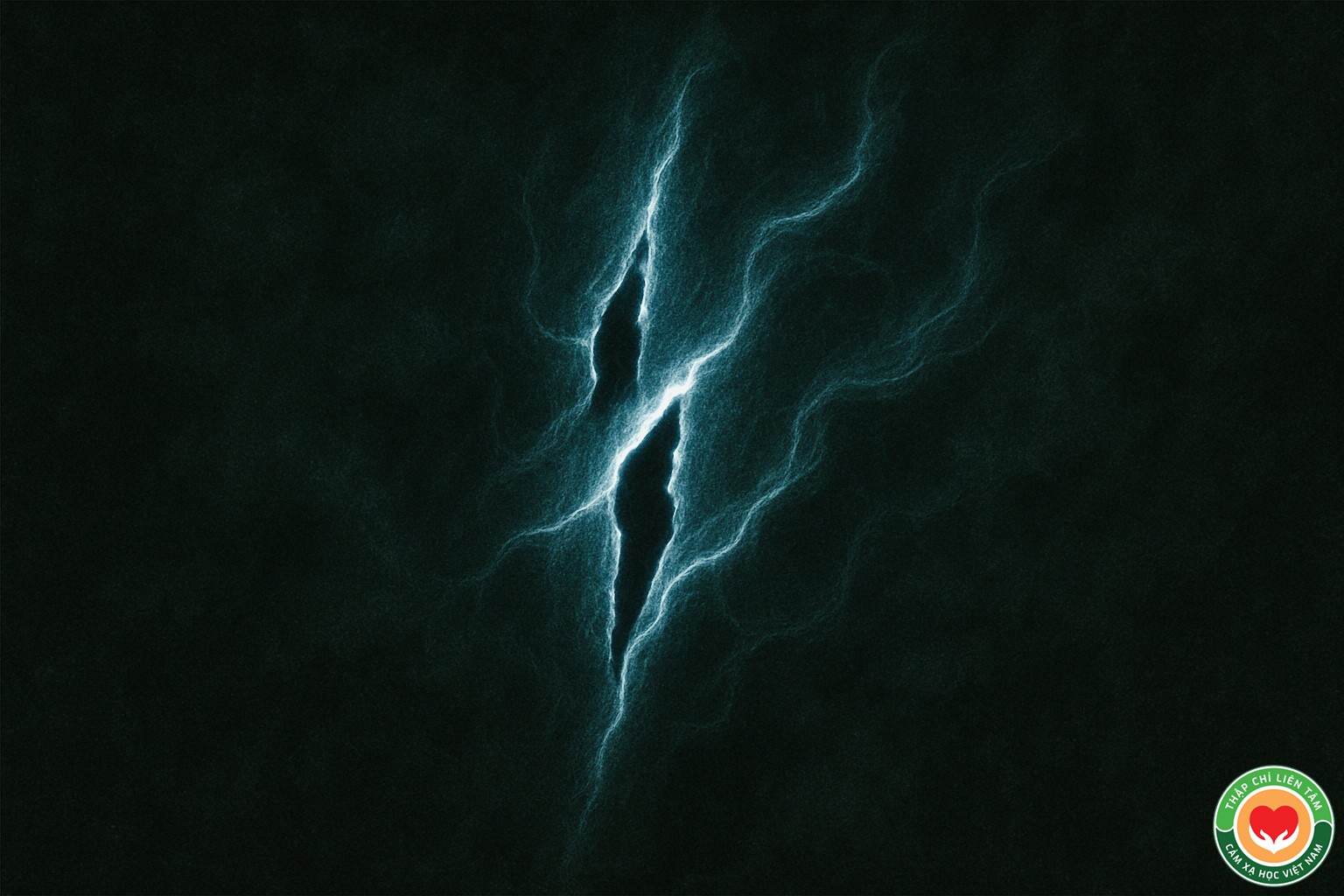 IMG 0360