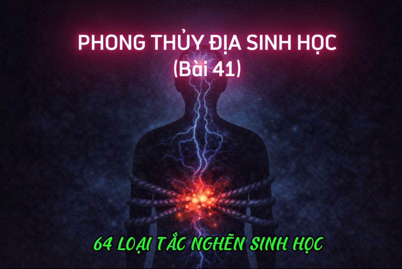 Bảng Định Chuẩn 64 Loại Tắc Nghẽn Sinh Học – Hệ Thống Mã Hóa Năng Lượng Tinh Tế (Bài 41)
