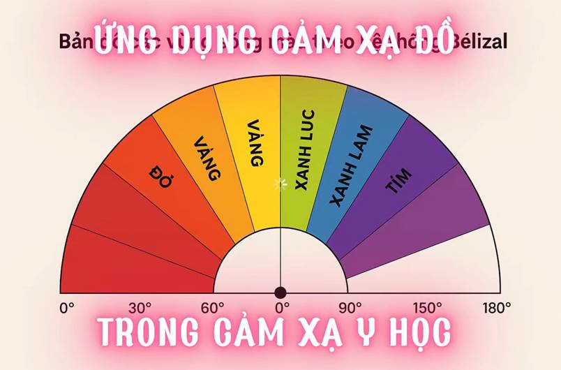Ứng Dụng Cảm Xạ Đồ Trong Nền Tảng Cảm Xạ Y Học (Bài 22)