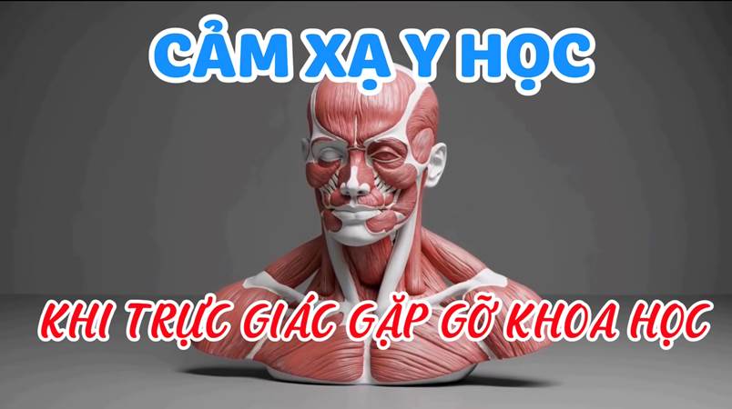 Nghệ Thuật Đánh Gía Sức Khỏe Qua Trường Năng Lượng Sinh Học (Bài 24 )