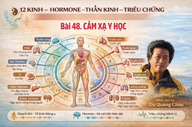 12 Kinh – Hormone – Thần Kinh – Triệu Chứng (Bài 53)