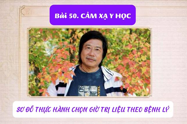 Sơ Đồ Thực Hành Chọn Giờ Trị Liệu Theo Bệnh Lý (Bài 55)